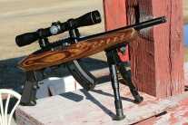 Ruger Charges into 2015 with Two New Chargers
