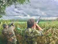 Dove for a Lifetime: Argentina Bucket List Hunt