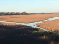 More Places to Hunt Waterfowl
