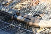 Browning’s New Wicked Wing Maxus – Shadow Grass Blades