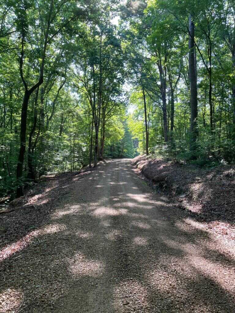 dirt road