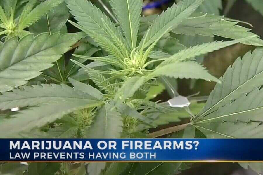 Pot smokers may retain gun rights in Florida.