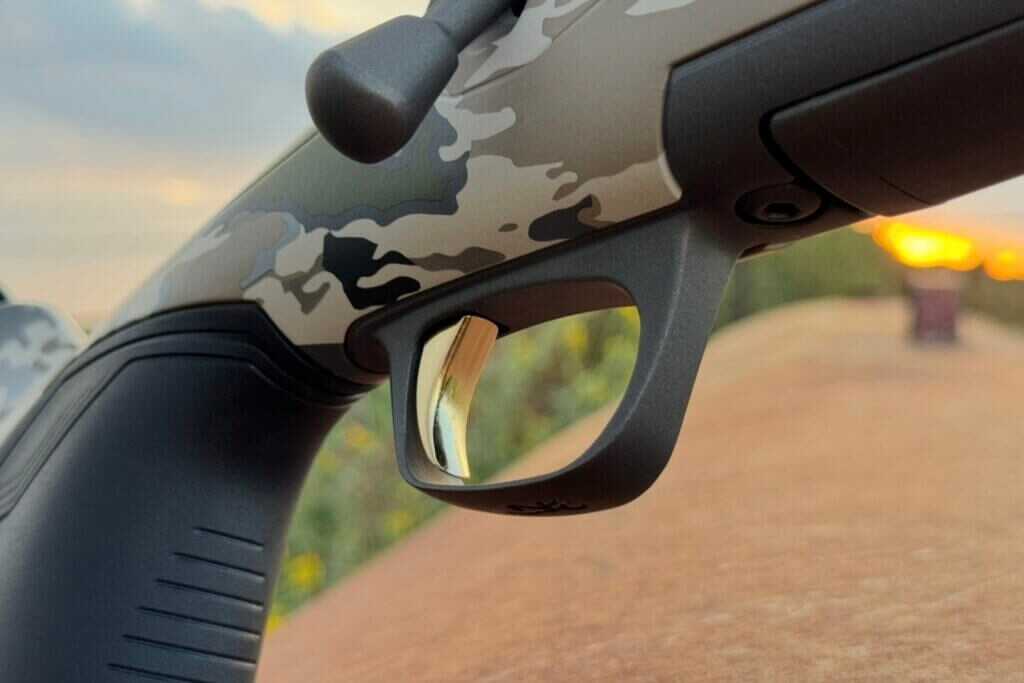 tirgger of rifle