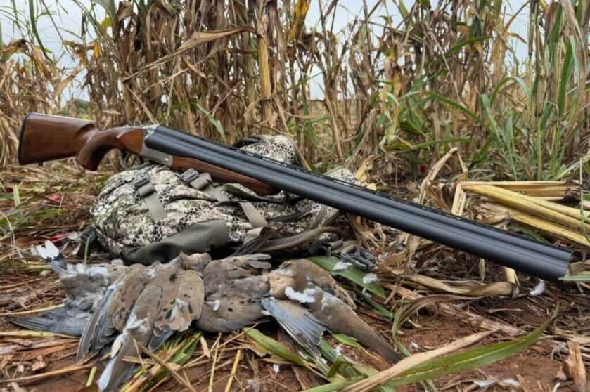 shotgun with birds