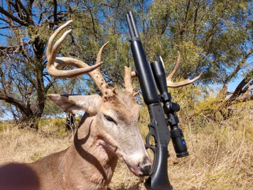 Whitetail buck with a Marlin rifle chambered for 444 Marlin straight-wall deer hunting