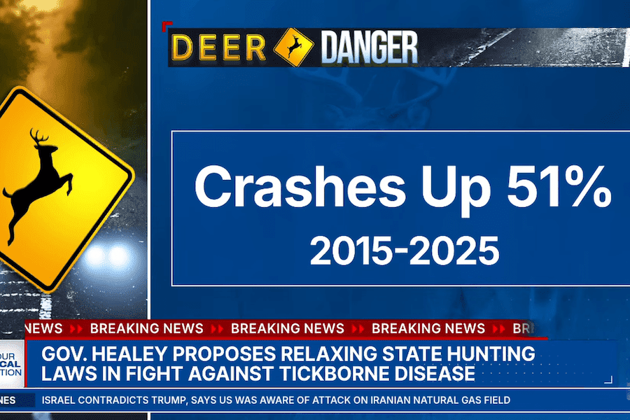 Deer crashes are up 51% graphic.