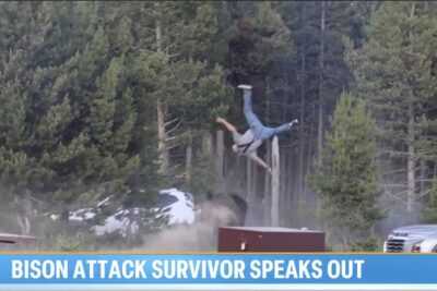 A Yellowstone tourist is thrown into the air after being charged by a bison during a viral attack captured on video.