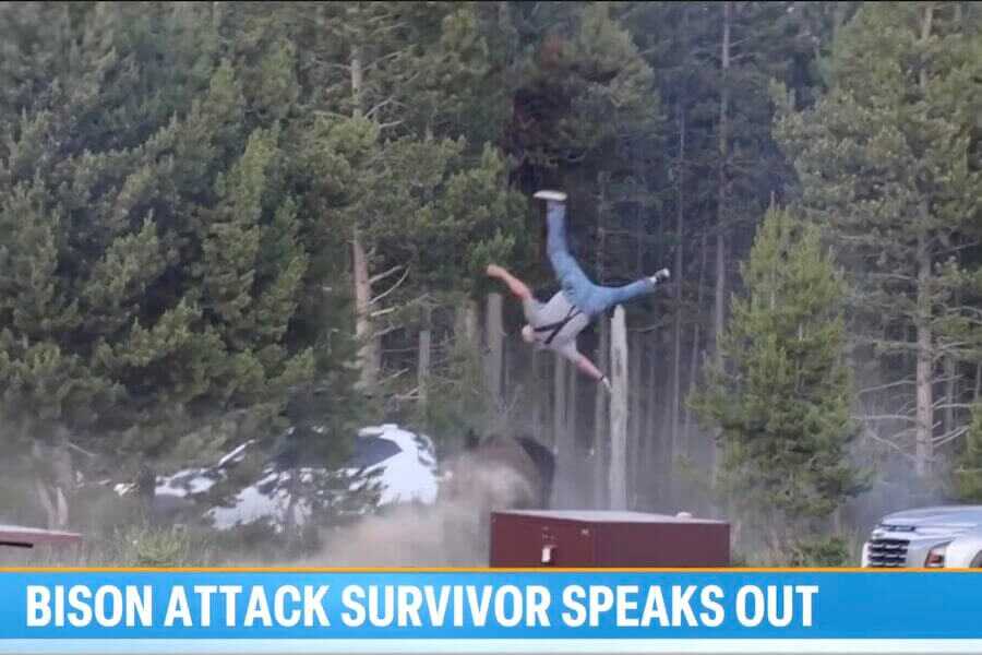 A Yellowstone tourist is thrown into the air after being charged by a bison during a viral attack captured on video.