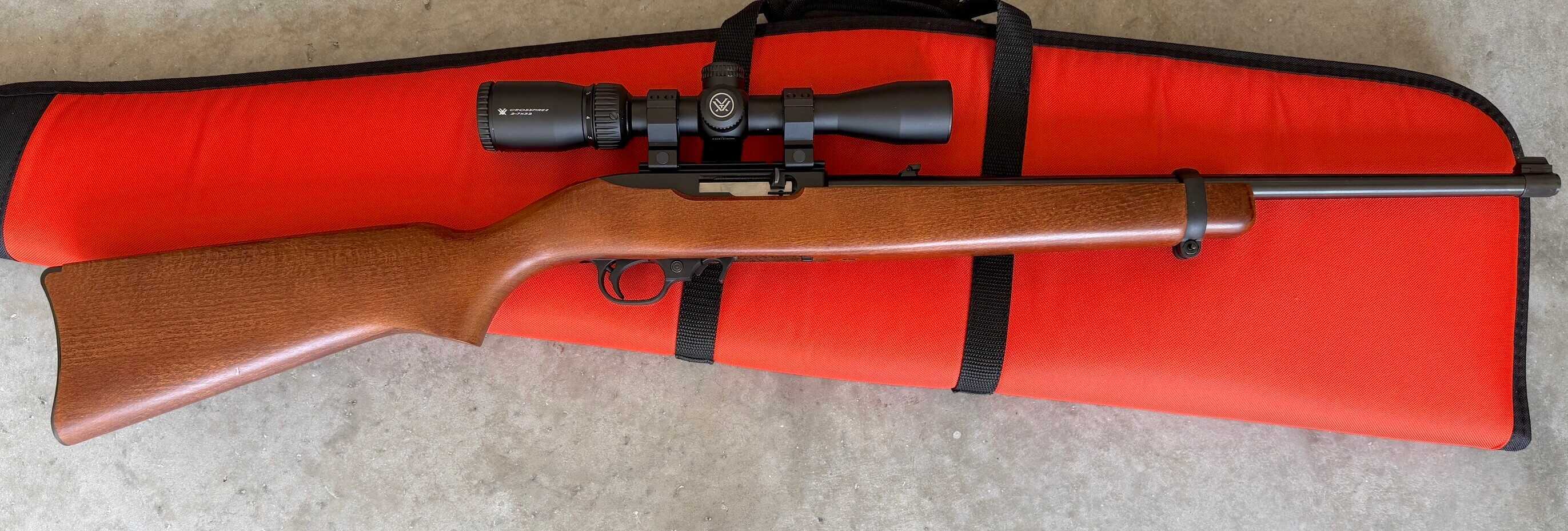 Ruger 10/22 review rifle showing the classic semiautomatic .22 LR Carbine profile