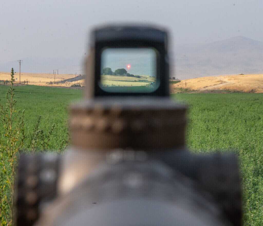 View through Steiner MPS 2.0 glass showing slight blue-green lens tint
