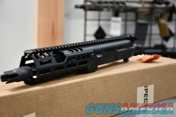 Sig Sauer MCX Spear LT 9" MLOK 300B...