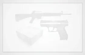 North American ArmsMini-Revolver