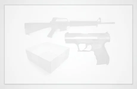 North American ArmsMini-Revolver