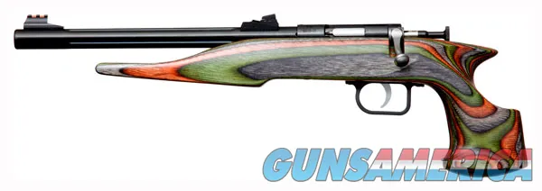 CHIPMUNK PISTOL HUNTER .22LR BLUED/CAMO ...