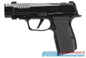 Sig Sauer P365 AXG Comp LUXE, .380 ACP