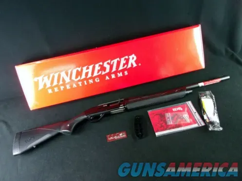 Winchester SX4 Cantilever Buck 20ga 3&qu...