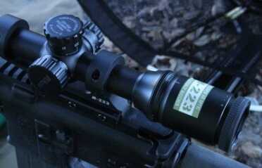 Colt vs. Gorilla - Match AR-15 Ammo Review Our test scope is a Nikon 223 on a Nikon single piece mount, set at 12x.