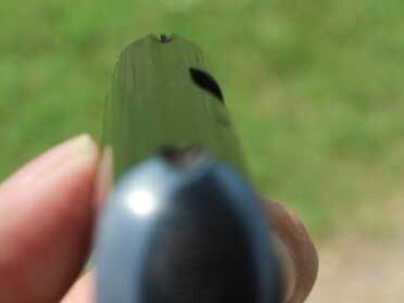The Used Market: The Pocket .25 Tiny sights.