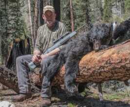 Jeff Cooper’s Greatest Legacy? The Ultimate Scout Rifle—Full Review Though not intended as a long-range hunting rifle, the Steyr Scout Rifle took this Idaho black bear at just a shade over 400 yards.