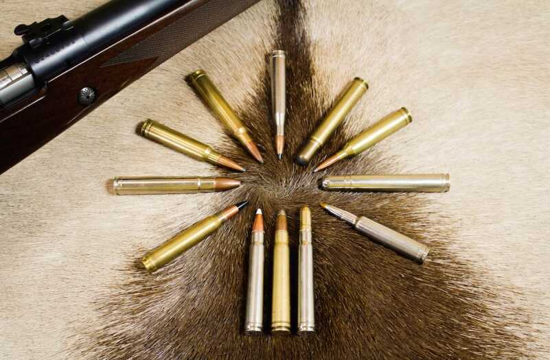The mighty .375 H&H Magnum and its offspring. Clockwise from lower left: .300 Winchester magnum, .416 Remington Magnum, .338 Winchester Magnum, 8mm Remington Magnum, .300 H&H Magnum, .458 Winchester Magnum, .264 Winchester Magnum, .458 Lott and 7mm Weatherby Magnum.