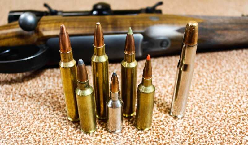 A lot of renowned rifle cartridges were born from earlier famous cartridges. An example is the .404 Jeffery, which spawned all kinds of cartridges. L-R .338 RUM, .300 WSM, .300 RUM, .25 WSSM, .30 Nosler, .270WSM and .404 Jeffery.