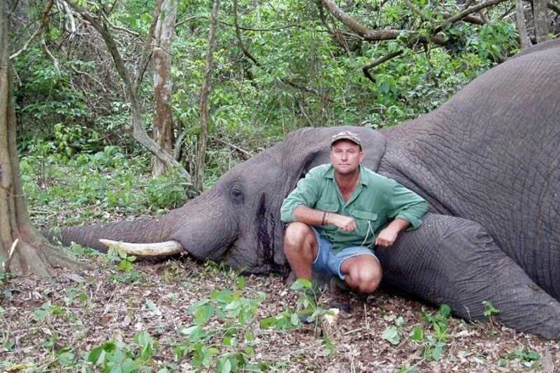 African Trophy Hunter Dies, Crushed by Dead Elephant African Trophy Hunter Dies, Crushed by Dead Elephant