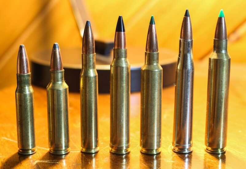 The Great Cartridge Debate: .308, .30-'06, 6.5 Creedmoor & More The Great Cartridge Debate: .308, .30-'06, 6.5 Creedmoor & More
