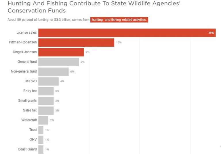 Decline in Hunting Poses Serious Threat to Conservation Efforts Decline in Hunting Poses Serious Threat to Conservation Efforts