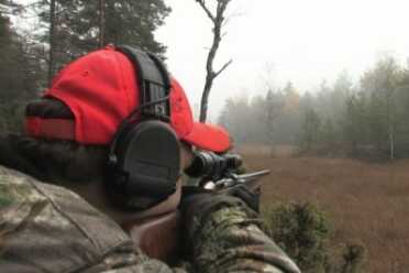 Norway to Ban 'Most' Semiauto Hunting Rifles, Including the Mini 14 Norway to Ban 'Most' Semiauto Hunting Rifles, Including the Mini 14