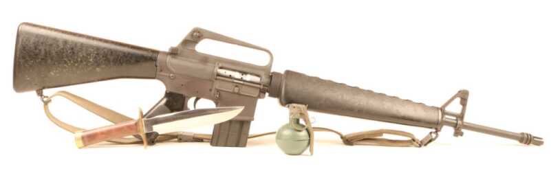 The Origin of the Species: The Model 602 M16 The Origin of the Species: The Model 602 M16