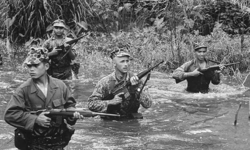 The Origin of the Species: The Model 602 M16 The Origin of the Species: The Model 602 M16