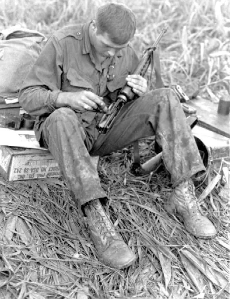 The Origin of the Species: The Model 602 M16 The Origin of the Species: The Model 602 M16