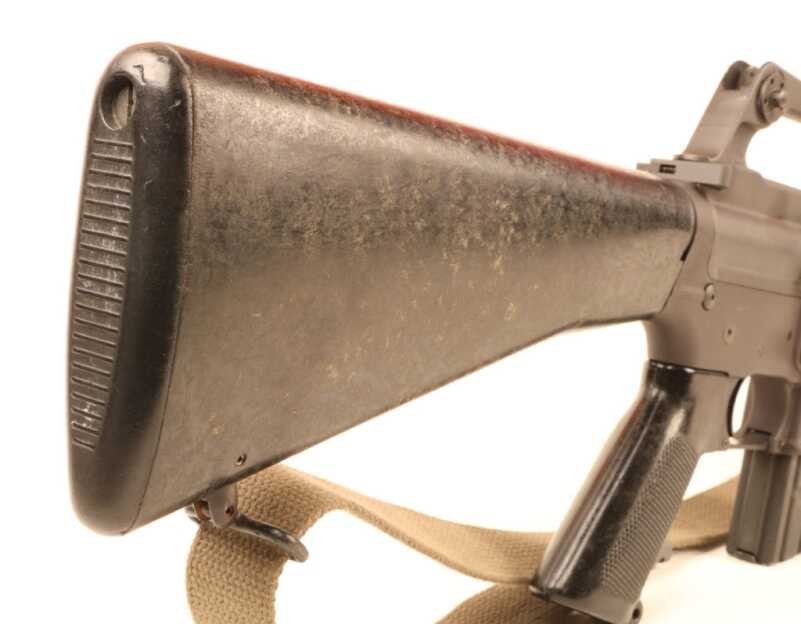 The Origin of the Species: The Model 602 M16 The Origin of the Species: The Model 602 M16