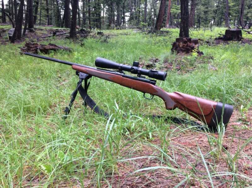 Setting Up A Rifle For An Elk Hunt Setting Up A Rifle For An Elk Hunt