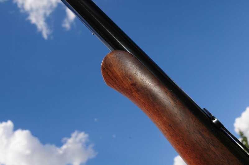 1895: The Last Lever-Action 1895: The Last Lever-Action