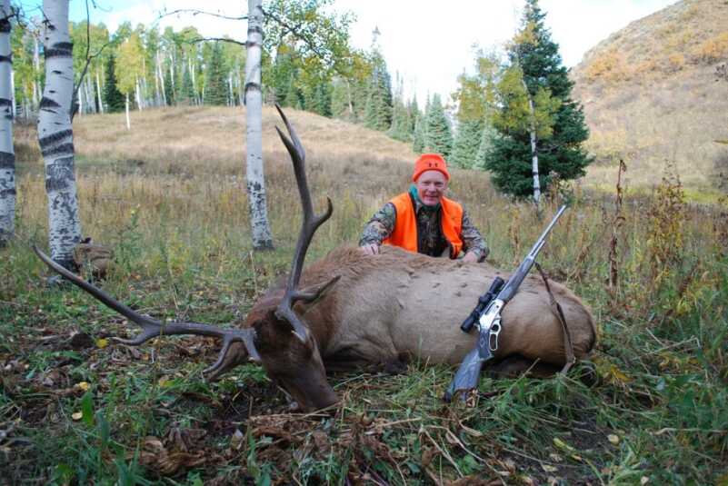 Bull Elks are Bugling...Wherever They Are Bull Elks are Bugling...Wherever They Are