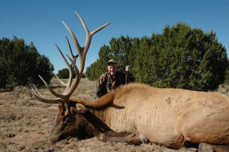 Bull Elks are Bugling...Wherever They Are Bull Elks are Bugling...Wherever They Are