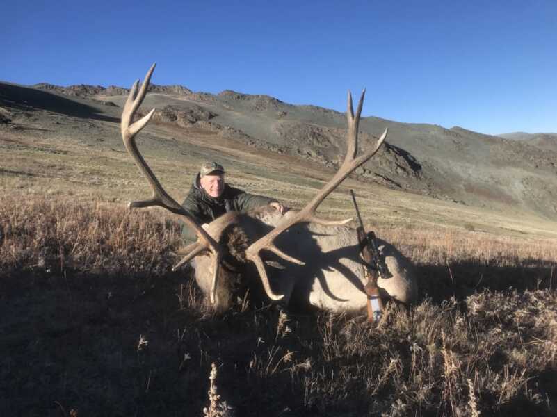 Bull Elks are Bugling...Wherever They Are Bull Elks are Bugling...Wherever They Are