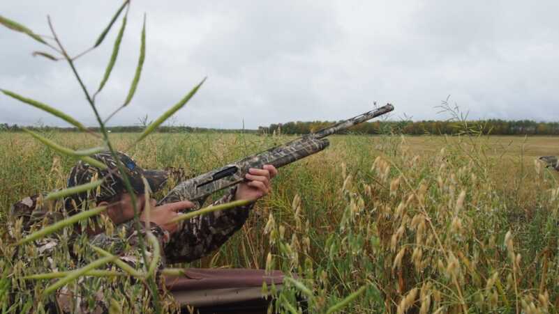 Honkers in The Chilly Morning: Goose Hunting in Central Manitoba Honkers in The Chilly Morning: Goose Hunting in Central Manitoba