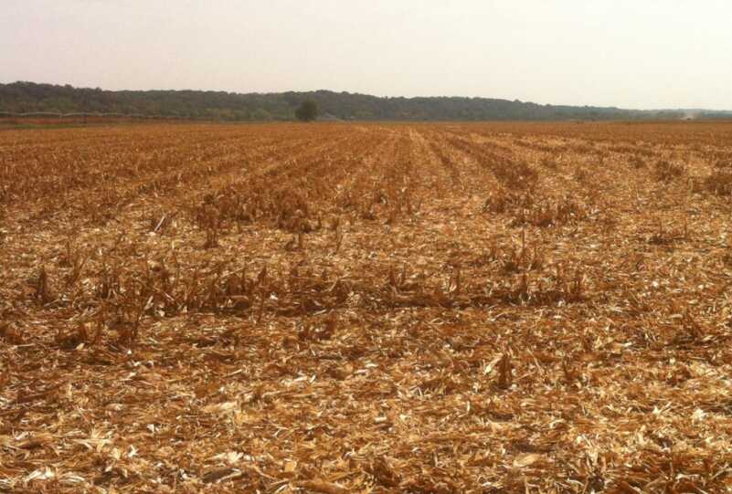 Field Hunting and Farmers - Understanding Goes A Long Ways Field Hunting and Farmers - Understanding Goes A Long Ways
