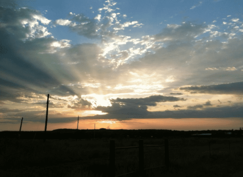 The Often Overlooked October Opportunity: 5 Tips for Late Season Dove The Often Overlooked October Opportunity: 5 Tips for Late Season Dove