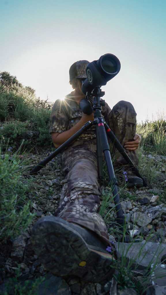 Top 5 Tips for Baiting Bears On Public Land Top 5 Tips for Baiting Bears On Public Land