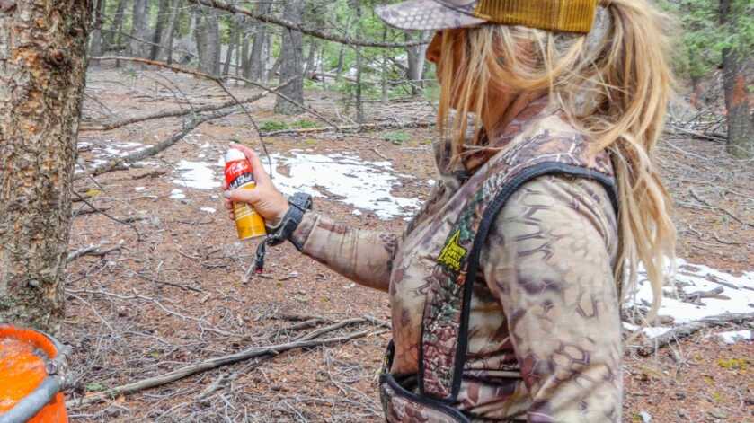 Top 5 Tips for Baiting Bears On Public Land Top 5 Tips for Baiting Bears On Public Land