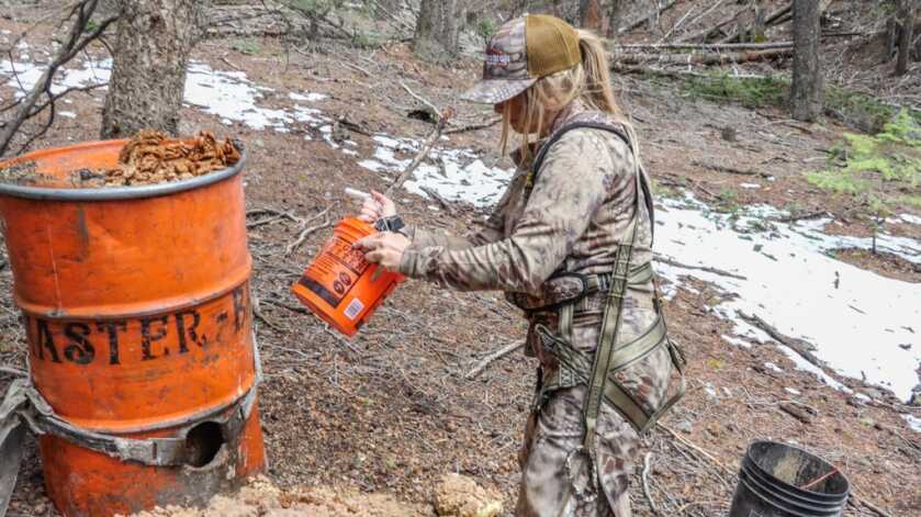 Top 5 Tips for Baiting Bears On Public Land Top 5 Tips for Baiting Bears On Public Land