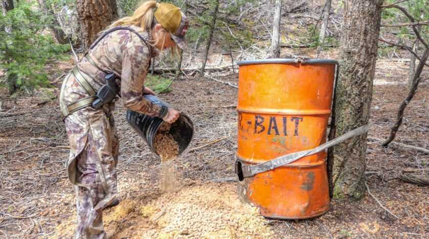 Top 5 Tips for Baiting Bears On Public Land Top 5 Tips for Baiting Bears On Public Land