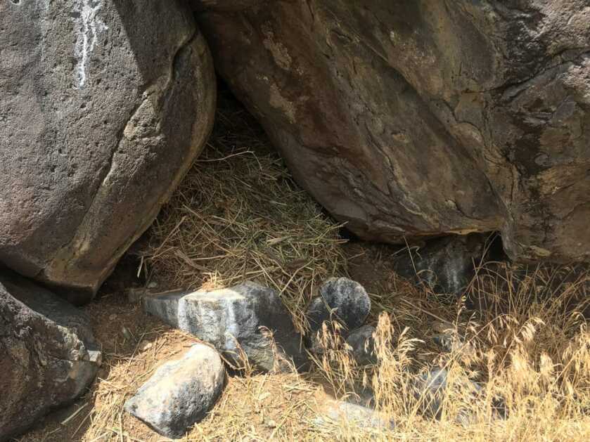 Hunting Rock Chucks & Marmots Hunting Rock Chucks & Marmots