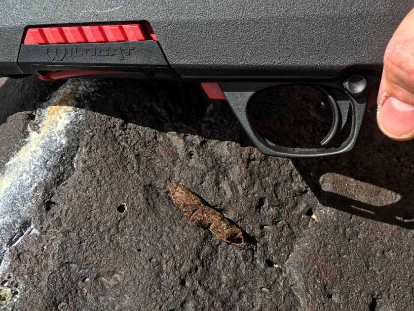 Hunting Rock Chucks & Marmots Hunting Rock Chucks & Marmots