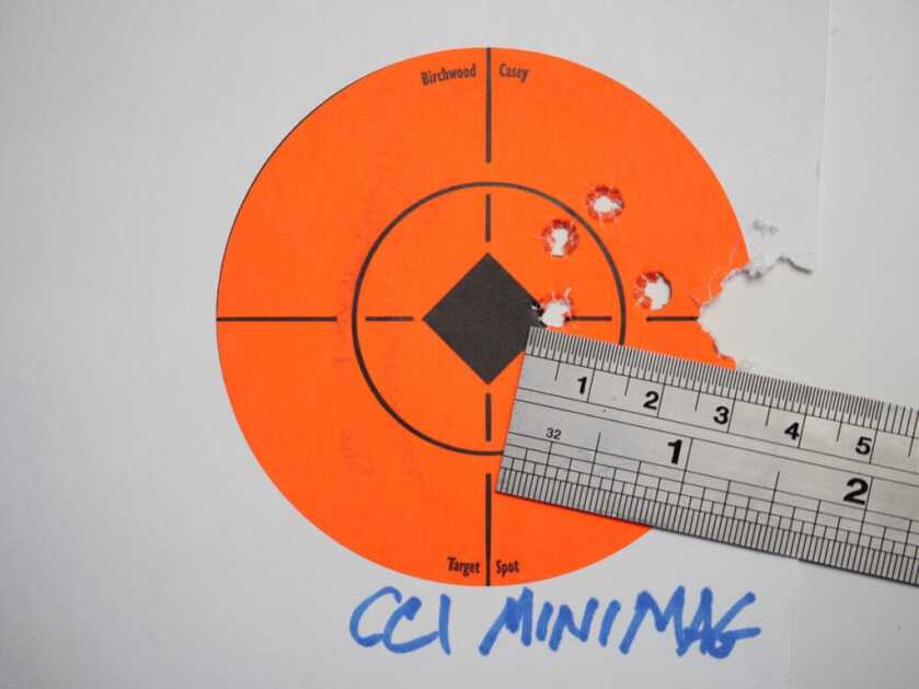 CZ's New Tack Driver Comes Sized For Youth: CZ 457 Scout CZ's New Tack Driver Comes Sized For Youth: CZ 457 Scout