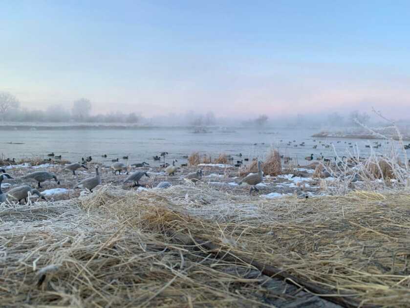 Hunting the River for Ducks Hunting the River for Ducks