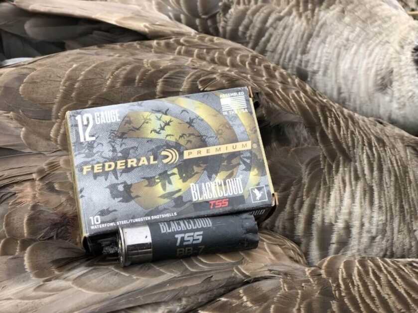 Field Test: Federal Premium Black Cloud TSS Field Test: Federal Premium Black Cloud TSS